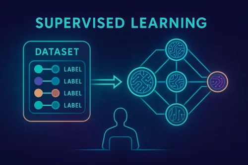 Supervised Learning: Learning with Labeled Data